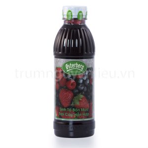 Sinh tố Osterberg trái cây hỗn hợp – 1L